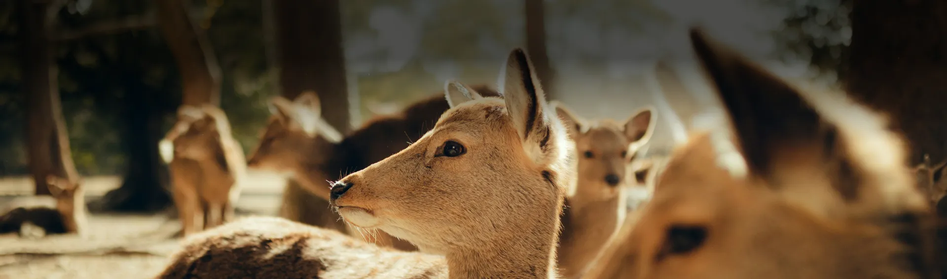 Zeit fuers Oberland Hero News und Projekteseite