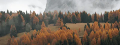 Zeit fuers Oberland Placeholder Kontakt rectangle 3