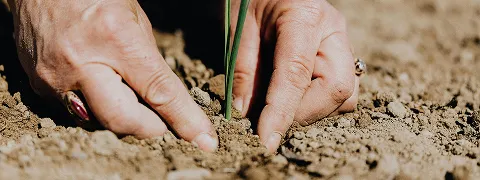 Zeit fuers Oberland Placeholder Kontakt rectangle 4