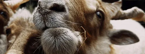 Zeit fuers Oberland Placeholder Kontakt rectangle 7