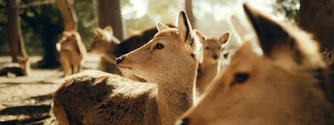 Zeit fuers Oberland Placeholder Startseite rectangle 5