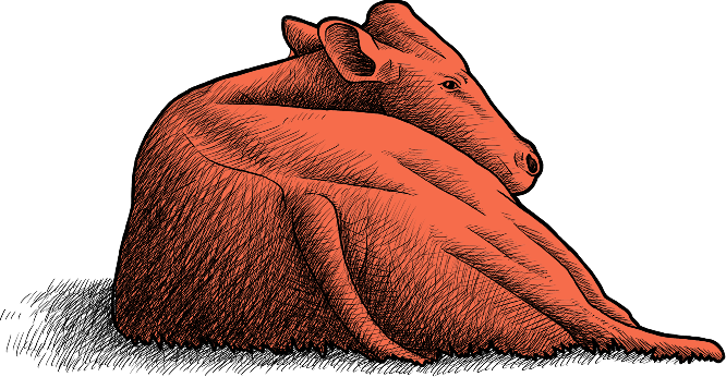 Zeit fuers Oberland Symbol Kuh liegend